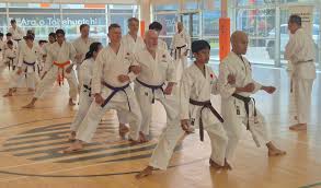 Image result for enpi dojo