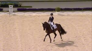 Image result for Interfreestyle Sport Karate