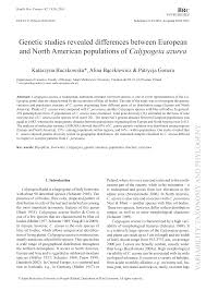 Attēlu rezultāti vaicājumam “Calypogeia azurea cells”