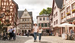 Image result for mainzelm