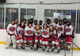 Image result for Northern Hockey Club