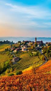 Image result for trailfinders