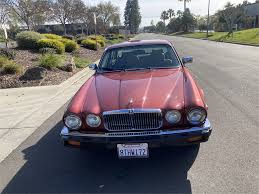 Image result for Curlew 1986 Jaguar