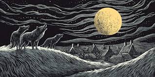 Image result for Stirling Wolves