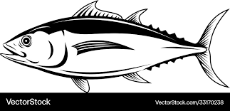 Image result for Thunnus alalunga