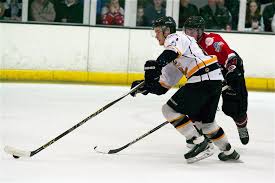 Image result for Chelmsford Chieftains