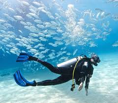 Image result for Scuba Fun