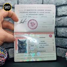 Image result for скан паспорта