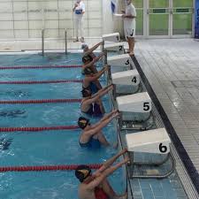Image result for Basingstoke Bluefins Water Polo Club