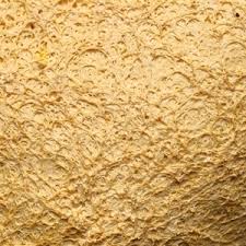 Attēlu rezultāti vaicājumam “Reticularia sp.”