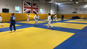 Image result for Judo Excellence