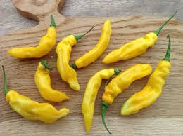 Afbeeldingsresultaat voor mme jeanette hot pepper