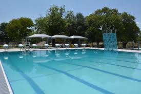 Image result for City of Preston Aquatics