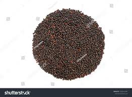 Attēlu rezultāti vaicājumam “Brassica napus fruit”