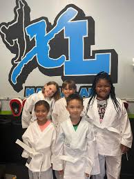 Image result for IXL Martial Arts