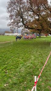 Image result for Annadale Striders Ac