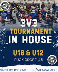 Image result for Romford Junior Ice Hockey Club