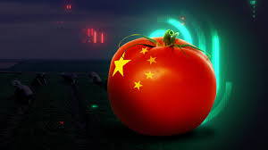 Bildergebnis für tomaten