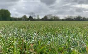 Image result for Sedgehill Badminton Club