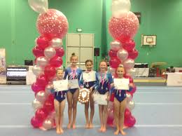 Image result for Brumby Gymnastics Club