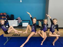 Image result for Weaverham Gymnastics Club