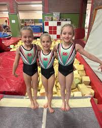 Image result for Allstarz Gymnastics Club
