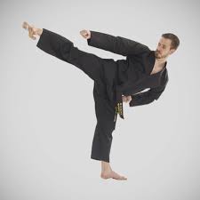 Image result for Bytomic Taekwondo