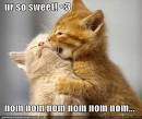 Funny I Love You Pictures