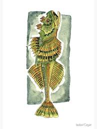 Image result for Myoxocephalus quadricornis