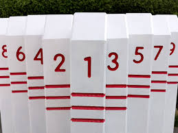 Image result for Shropshire Disc Golf Club