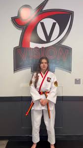 Image result for Vision Martial Arts