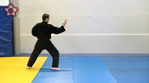 Image result for Goshin Ryu Atemi JuJitsu