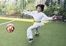 Image result for Kicking Dragon Kung Fu School, Belfast