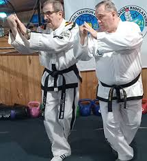 Image result for Utf Jaguar Tkd