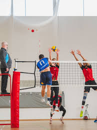 Image result for Malory Eagles volleyball club