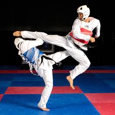 Image result for COMBAT TAEKWONDO