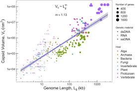 Image result for genome sizes