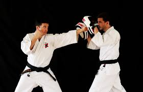 Image result for Holboln Shorinji Kempo Club