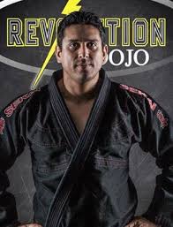 Image result for Revolution Dojo