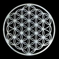 Image result for life flower