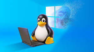 Image result for linux penguin