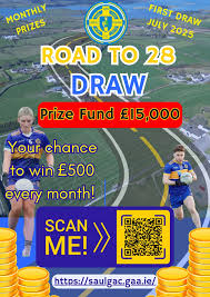 Image result for St Patrick`s Gac, Saul