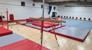 Image result for Harnham Gymnastics Club