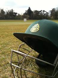 Image result for Wokingx1 Cricket Club