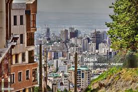 Image result for selvatici tehron