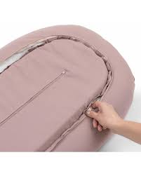 Attēlu rezultāti vaicājumam “Diaperis boleti nest”