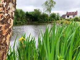 Image result for Eccleshall Cricket Club