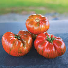 Afbeeldingsresultaat voor dark purple beefsteak tomato