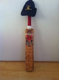 Image result for St Ives Cricket Club