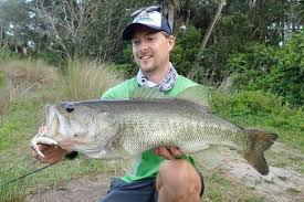 Image result for Micropterus